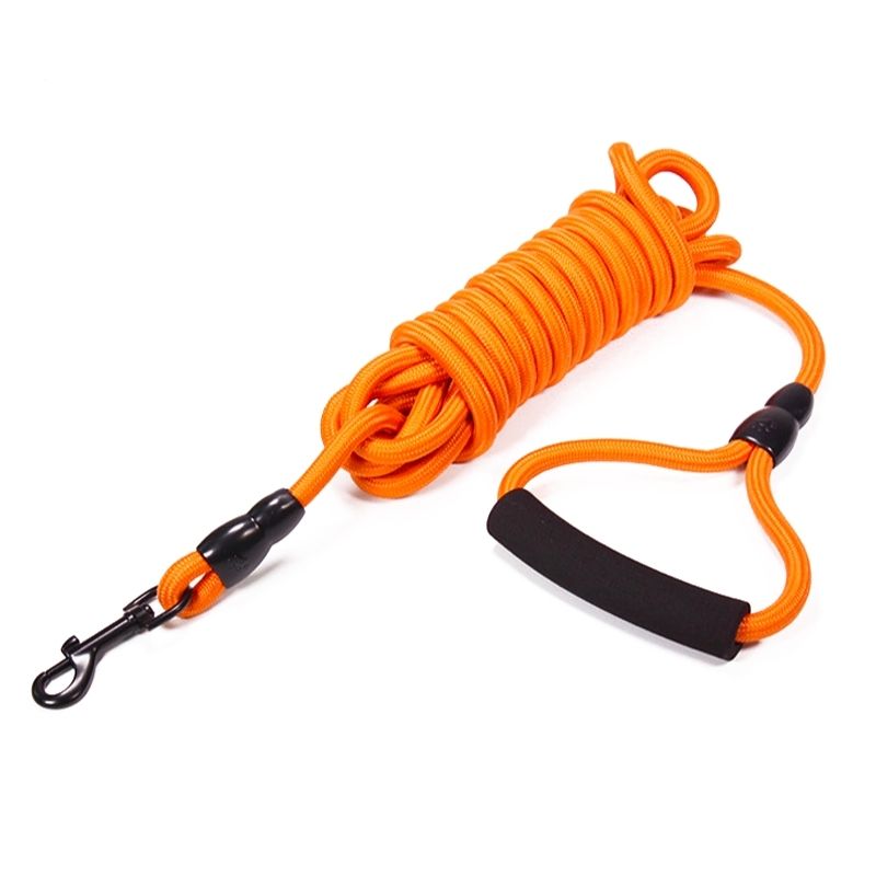 Longe pour Chien Orange