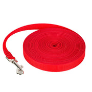Longe Dressage Chien