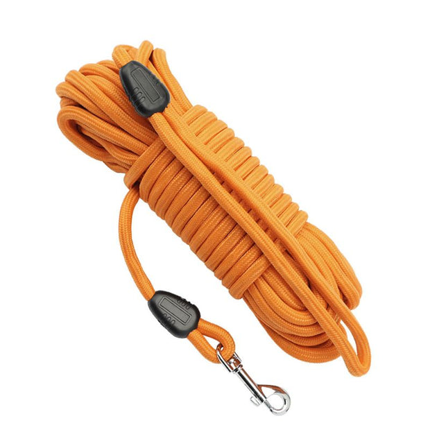 Longe pour Chien