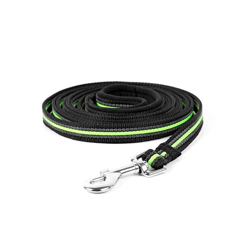 Longe pour Chien