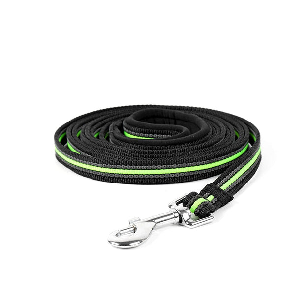 Longe pour Chien