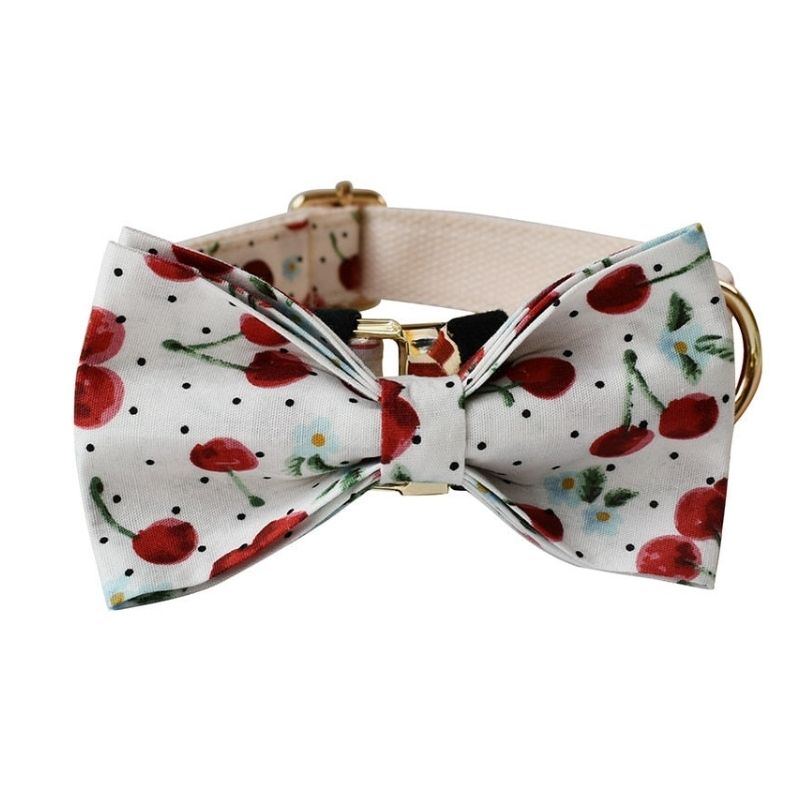 Collier Chien Personnalisé Nylon Cerises