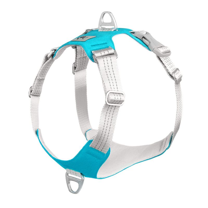 Harnais Chien Anti Traction Bleu