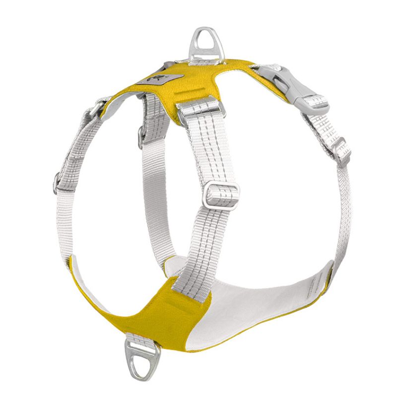 Harnais Chien Anti Traction