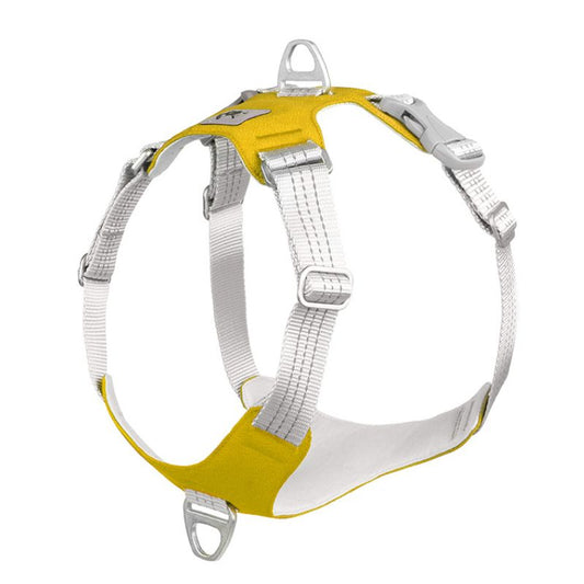 Harnais Chien Anti Traction