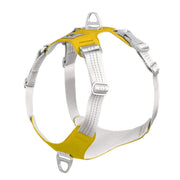 Harnais Chien Anti Traction