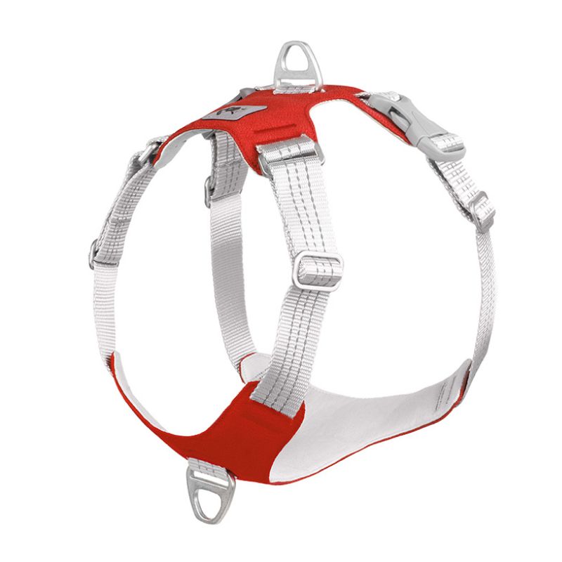 Harnais Chien Anti Traction Rouge